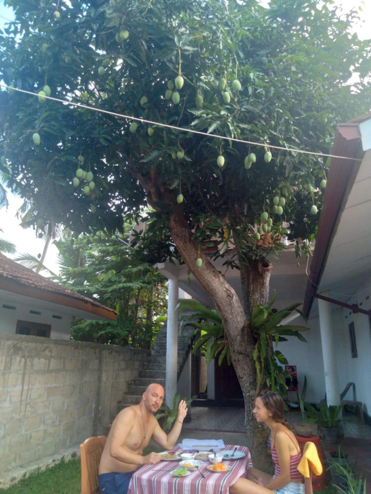 Sanithu Homestay And Villa Galle Εξωτερικό φωτογραφία