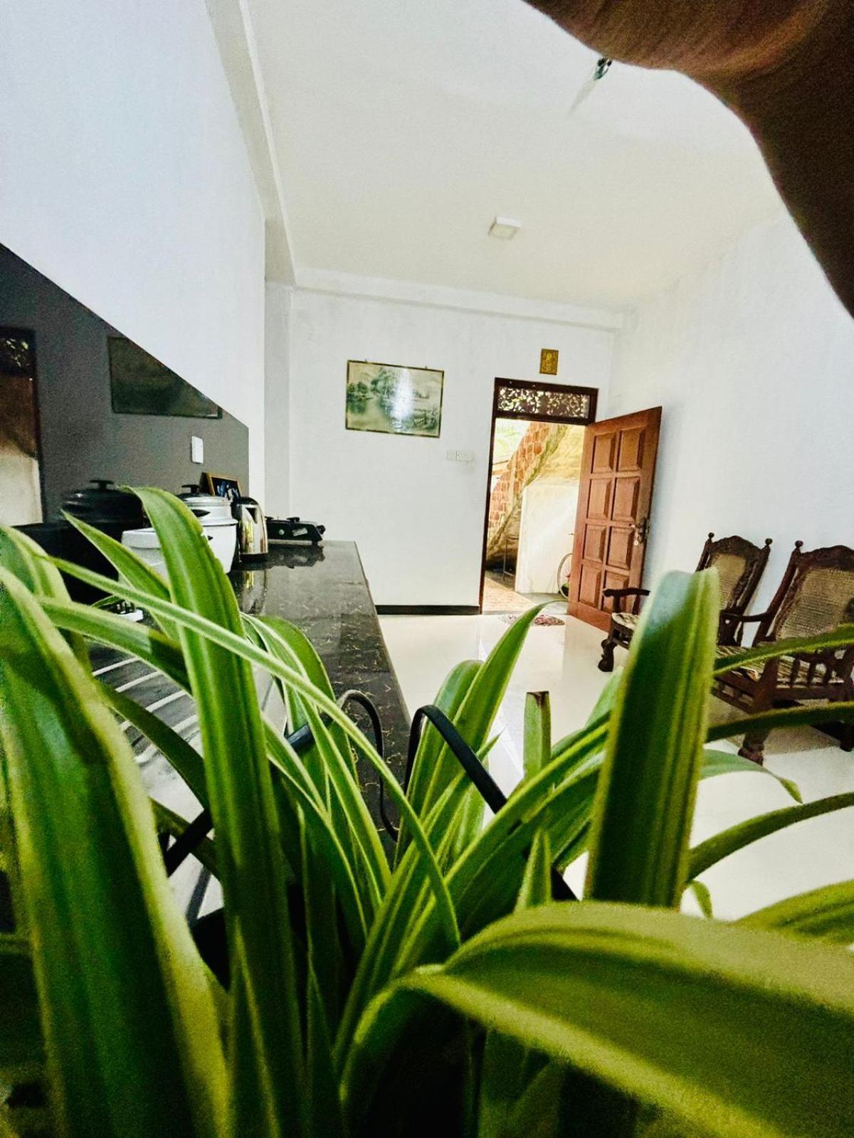 Sanithu Homestay And Villa Galle Εξωτερικό φωτογραφία